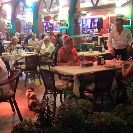 Wien Star Hotel, Adults Only 3*