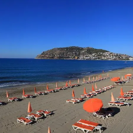 Wien Star Hotel, Adults Only 3*